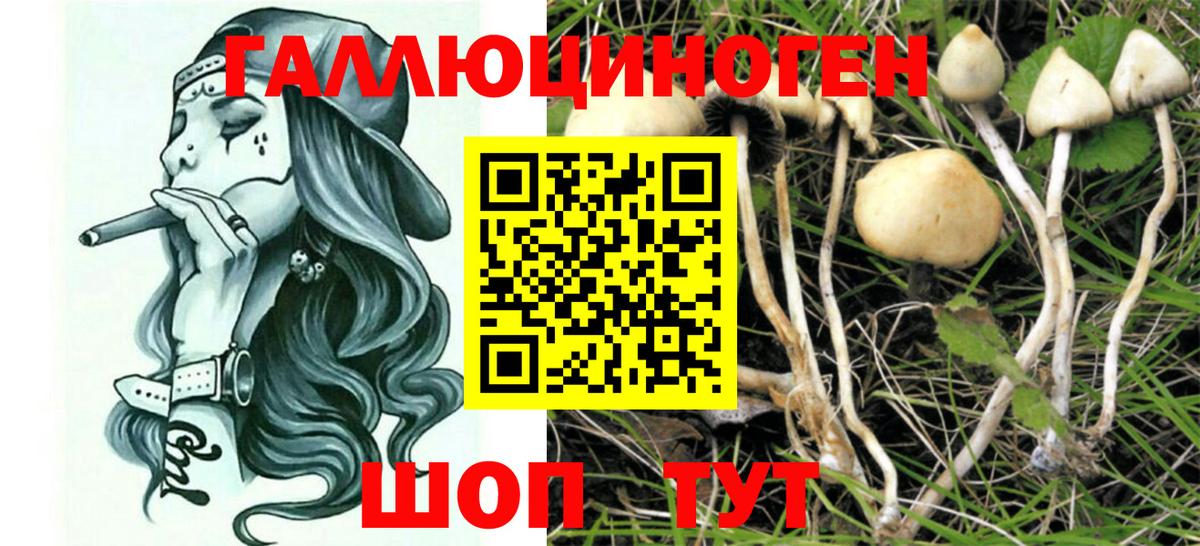 ГАШИШ Приморско-Ахтарск