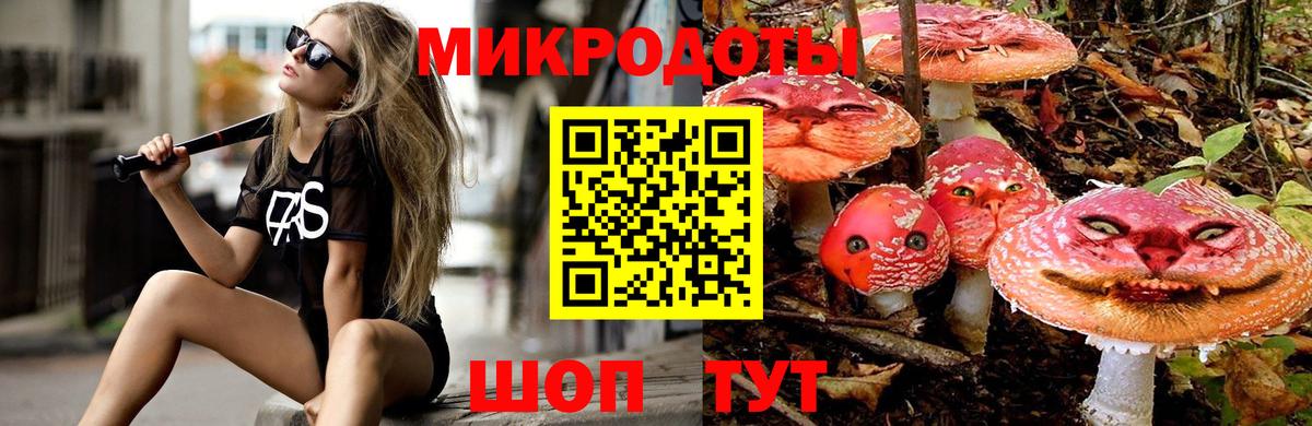Приморско-Ахтарск  Галлюциногенные грибы GOLDEN TEACHER  Вход с VPN 